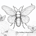 17-Year Cicada Life Cycle Coloring Pages 2