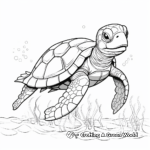 Absorbing Loggerhead Turtle Coloring Pages 3