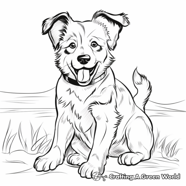 Border Collie Coloring Pages - Free &amp; Printable!