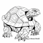 Abstract Box Turtle Coloring Pages 1