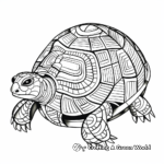 Abstract Box Turtle Coloring Pages 2