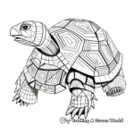 Abstract Box Turtle Coloring Pages 3