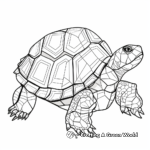 Abstract Box Turtle Coloring Pages 4