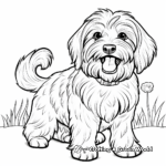 Abstract Havanese Coloring Pages for Artists 3