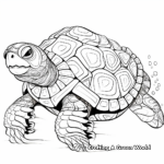 Abstract Snapping Turtle Coloring Pages for Artists 4