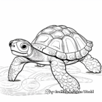 Abstract Turtle Coloring Pages 3