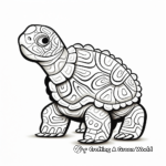 Abstract Turtle Coloring Pages 4