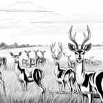 Abundance of Gazelles: Herd Scene Coloring Pages 2