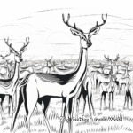 Abundance of Gazelles: Herd Scene Coloring Pages 3