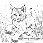Action-Packed Bobcat Lynx Coloring Pages 1
