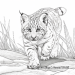 Action-Packed Bobcat Lynx Coloring Pages 2