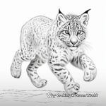 Action-Packed Bobcat Lynx Coloring Pages 3