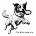 Action-Packed Border Collie Catching Frisbee Coloring Pages 1