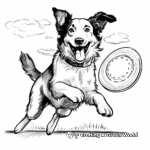 Action-Packed Border Collie Catching Frisbee Coloring Pages 3
