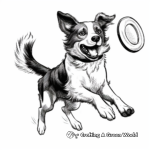Action-Packed Border Collie Catching Frisbee Coloring Pages 4