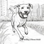 Action-Packed Chocolate Lab In Park Coloring Pages 2