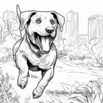 Action-Packed Chocolate Lab In Park Coloring Pages 3
