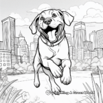 Action-Packed Chocolate Lab In Park Coloring Pages 4