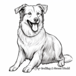Active Border Collie Dog Coloring Pages 1