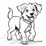 Active Border Collie Dog Coloring Pages 3