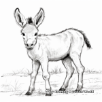 Adorable Baby Donkey Coloring Pages 1