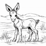 Adorable Baby Donkey Coloring Pages 3