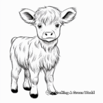 Adorable Baby Highland Cow Coloring Pages 1