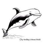 Adorable Baby Humpback Whale Coloring Pages 4