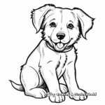 Adorable Border Collie Puppy Coloring Pages 4