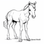 Adorable Foal Coloring Pages 2