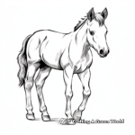 Adorable Foal Coloring Pages 4