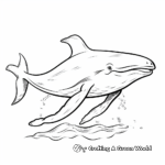 Adorable Humpback Whale Coloring Pages 3