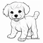 Adorable Maltipoo Puppy Coloring Pages 4