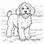 Adult Bernedoodle in Natural Setting Coloring Pages 3