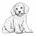 Adult Cockapoo Dog Coloring Pages 1