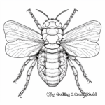 Adult Detailed Cicada Coloring Pages 3