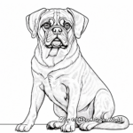 Adult-Level Pug Portrait Coloring Pages 3