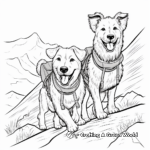 Adventurous Border Collie Hiking Coloring Pages 1