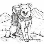 Adventurous Border Collie Hiking Coloring Pages 4