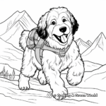 Adventurous Hiking Bernedoodle Coloring Pages 1