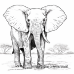 African Bush Elephant Realistic Coloring Pages 2