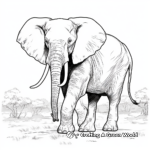 African Bush Elephant Realistic Coloring Pages 4