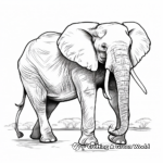 African Elephant Coloring Sheets 1