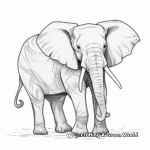 African Elephant Coloring Sheets 2