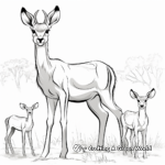 African Gazelle Family Coloring Pages 1