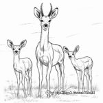 African Gazelle Family Coloring Pages 3