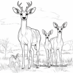 African Gazelle Family Coloring Pages 4