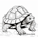 African Spurred Tortoise Coloring Pages 1