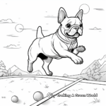 Agility Training French Bulldog Coloring Pages 2