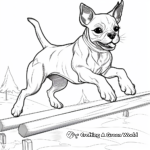 Agility Training French Bulldog Coloring Pages 3
